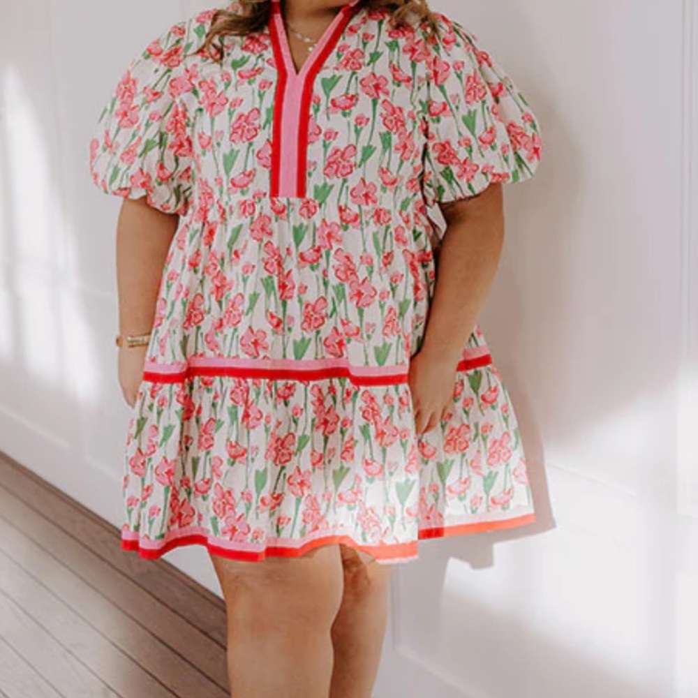 Entro Pink and Red Flower Dress